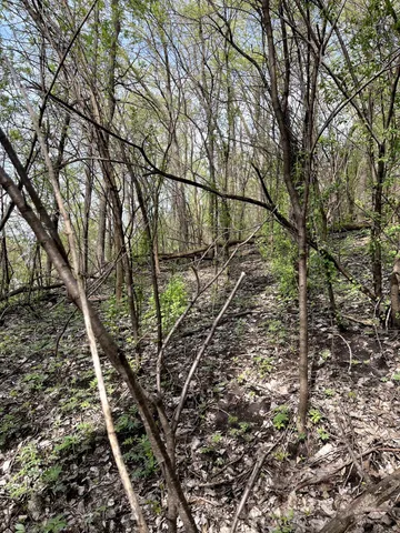 $217,900 | Xxxx Woodhill Road, Burnsville, MN 55337