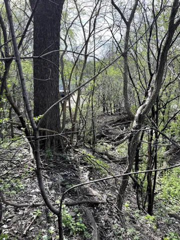 $217,900 | Xxxx Woodhill Road, Burnsville, MN 55337