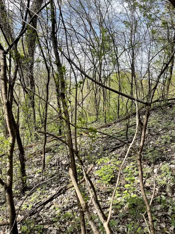 $217,900 | Xxxx Woodhill Road, Burnsville, MN 55337