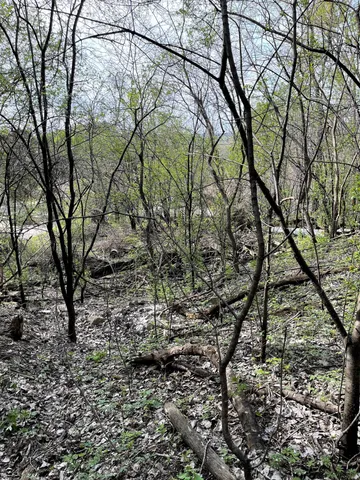 $217,900 | Xxxx Woodhill Road, Burnsville, MN 55337