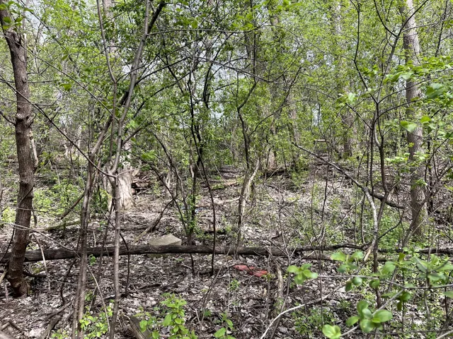 $217,900 | Xxxx Woodhill Road, Burnsville, MN 55337