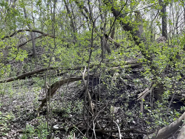 $217,900 | Xxxx Woodhill Road, Burnsville, MN 55337