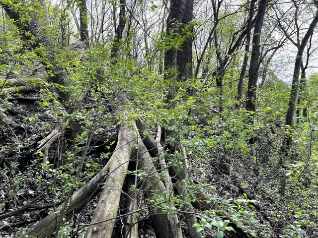 $217,900 | Xxxx Woodhill Road, Burnsville, MN 55337