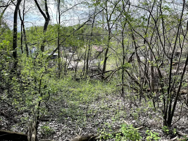 $217,900 | Xxxx Woodhill Road, Burnsville, MN 55337