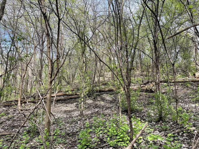 $217,900 | Xxxx Woodhill Road, Burnsville, MN 55337