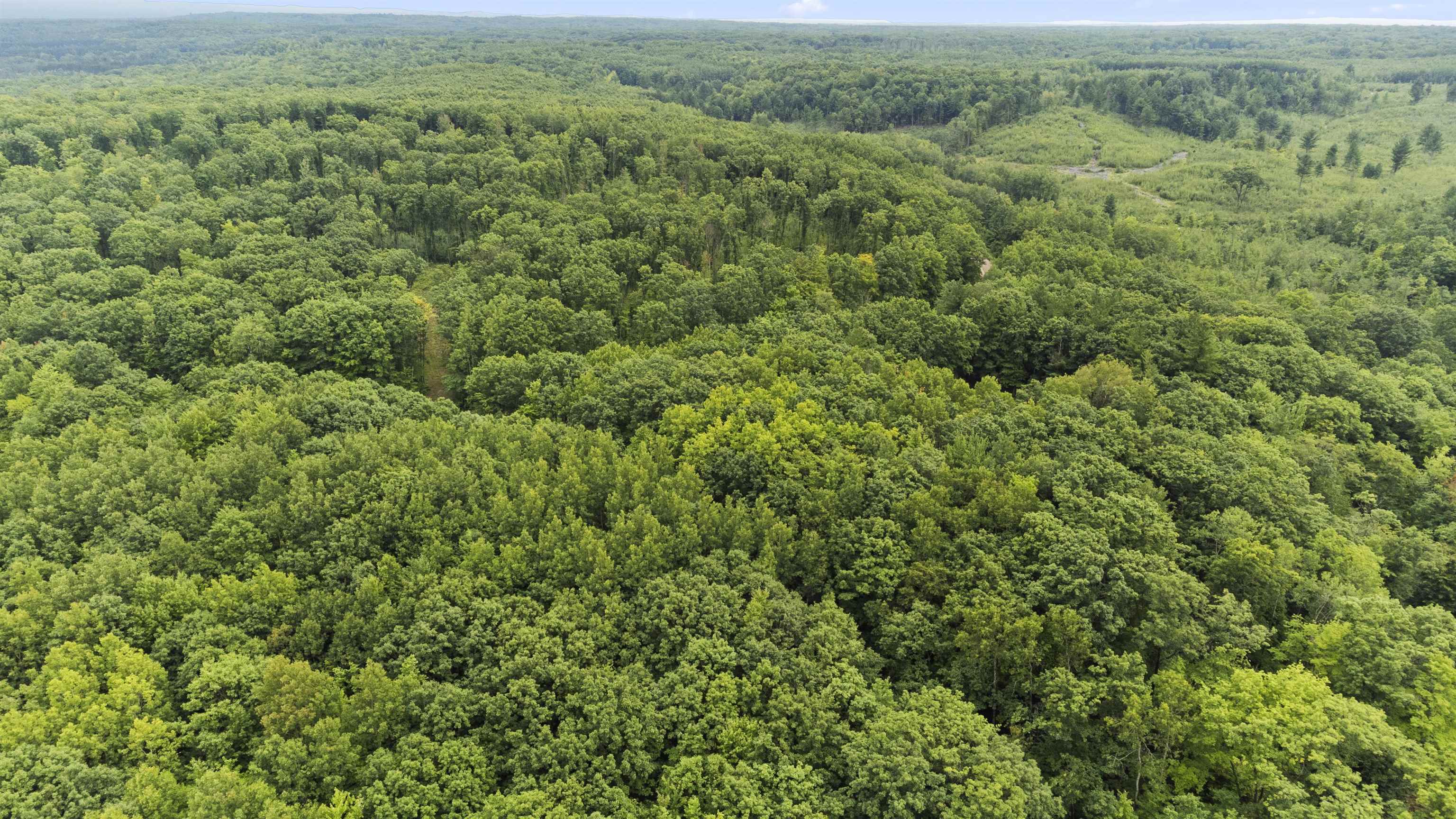 9 9 Mile Road Kingsley, MI 49649 - Photo 20 of 66
