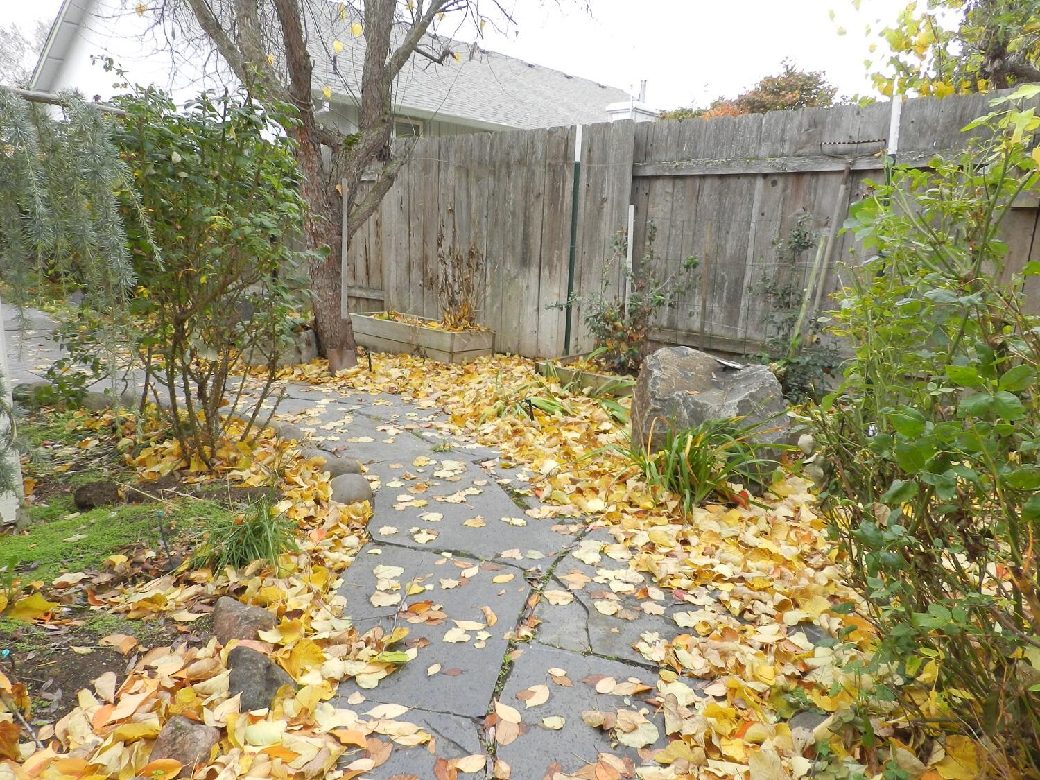 648 Benjamin Way Phoenix, OR 97535 - Photo 26 of 29 a backyard of a house with large trees and wooden fence
