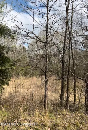 $130,000 | Lot 4 Matthews Drive, Byhalia, MS 38611