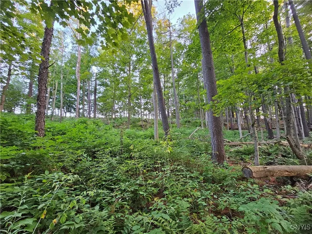 $39,900 | Old State Road, Carthage, NY 13619