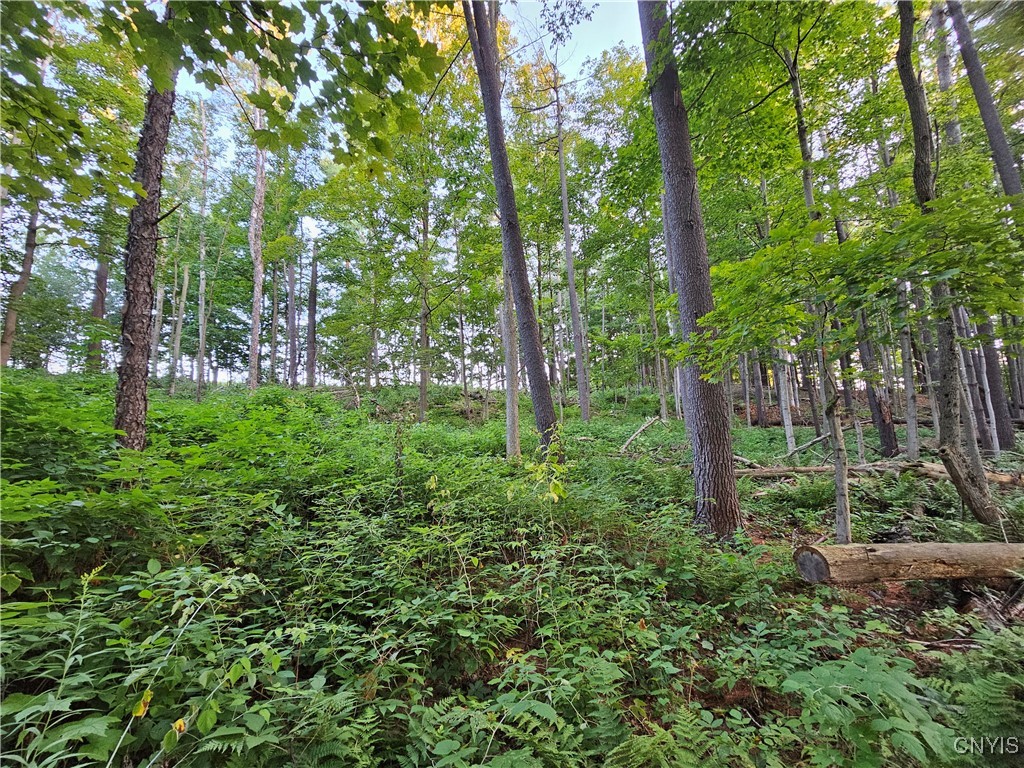 Old State Road Carthage, NY 13619 - Photo 11 of 16