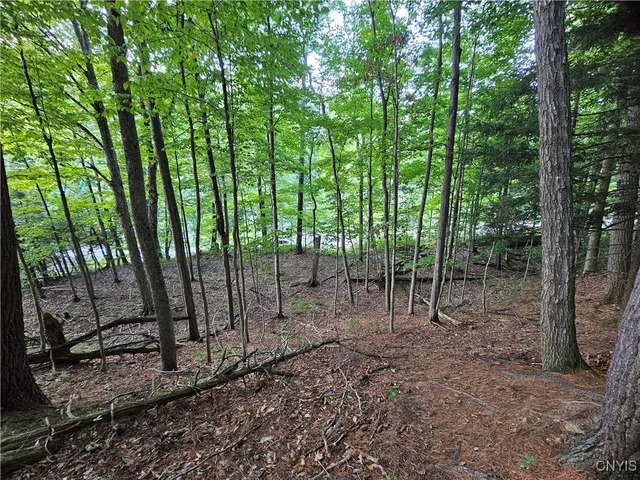 $39,900 | Old State Road, Carthage, NY 13619