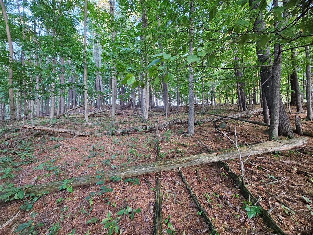 Old State Road Carthage, NY 13619 - Photo 13 of 16