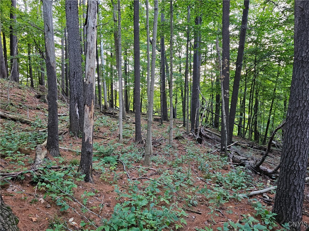 Old State Road Carthage, NY 13619 - Photo 14 of 16