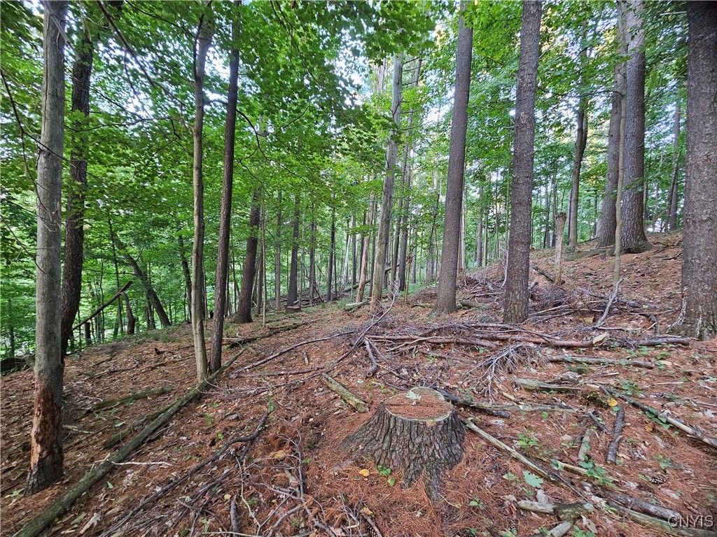 Old State Road Carthage, NY 13619 - Photo 15 of 16