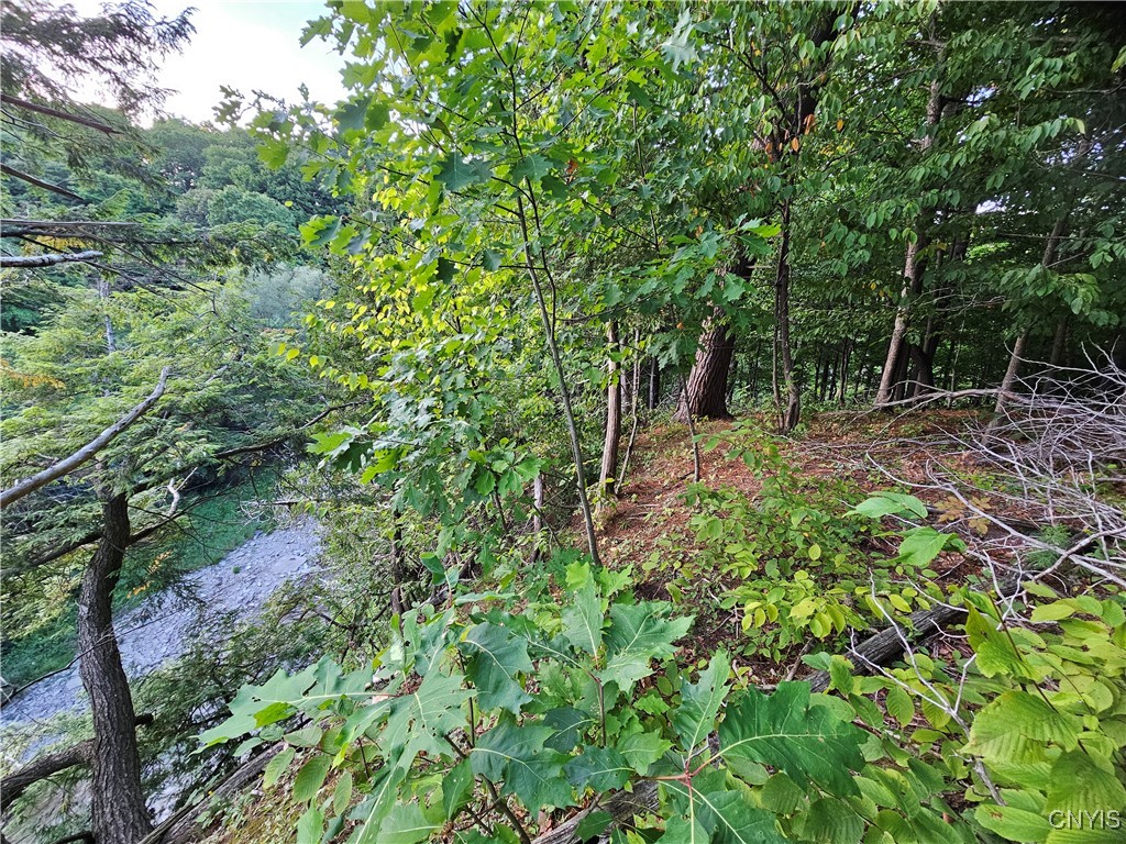 Old State Road Carthage, NY 13619 - Photo 3 of 16