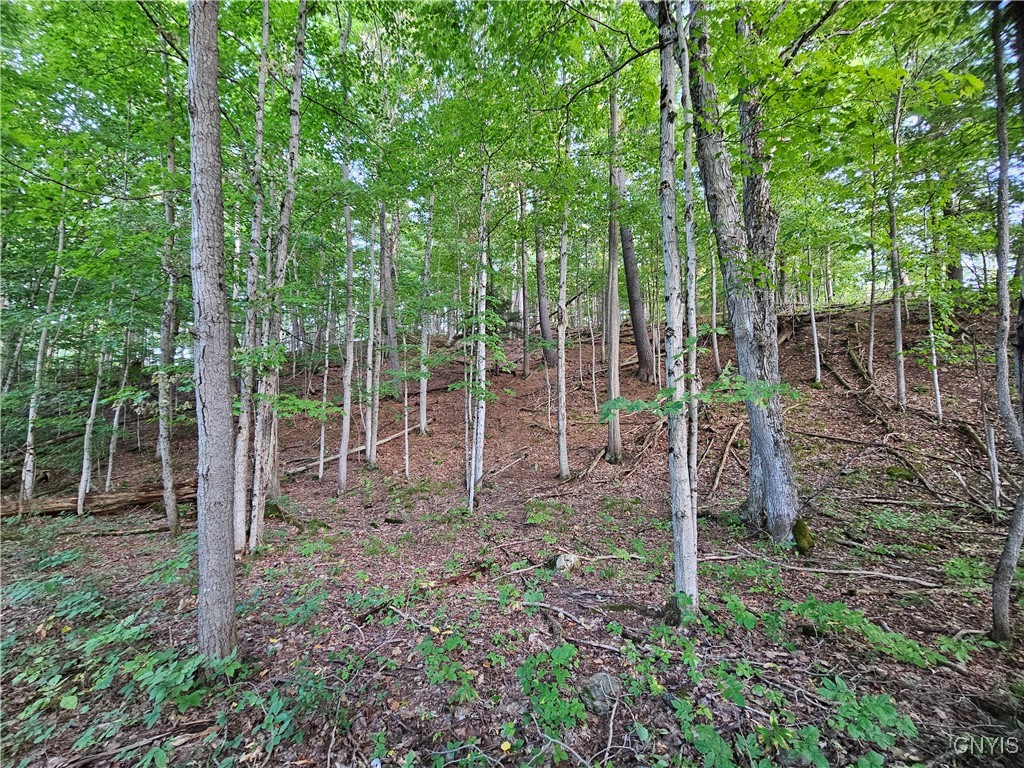 Old State Road Carthage, NY 13619 - Photo 4 of 16