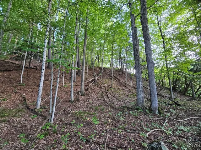 $39,900 | Old State Road, Carthage, NY 13619