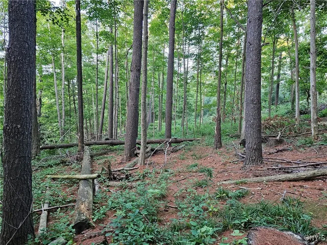 $39,900 | Old State Road, Carthage, NY 13619