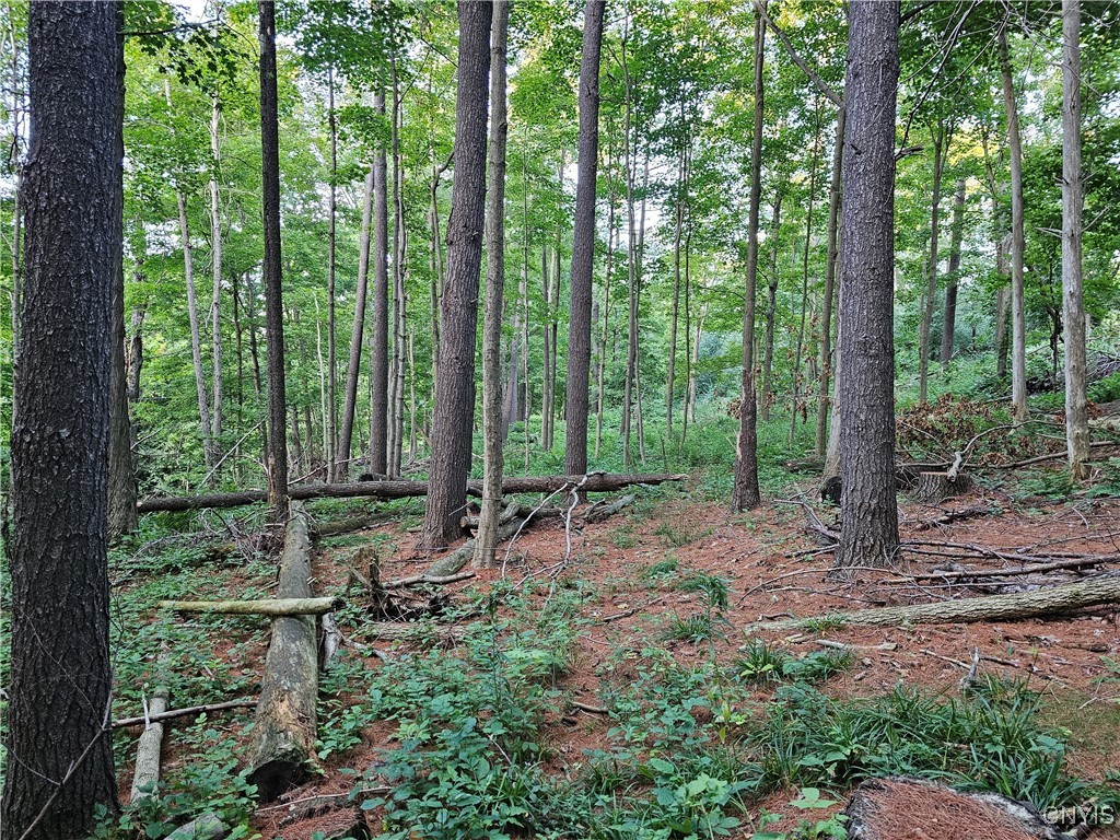 Old State Road Carthage, NY 13619 - Photo 6 of 16