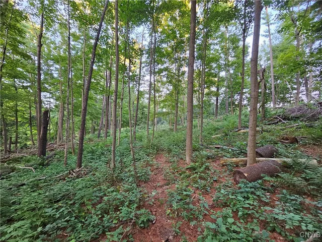 $39,900 | Old State Road, Carthage, NY 13619