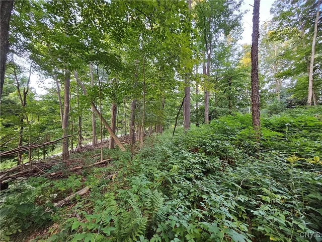 $39,900 | Old State Road, Carthage, NY 13619