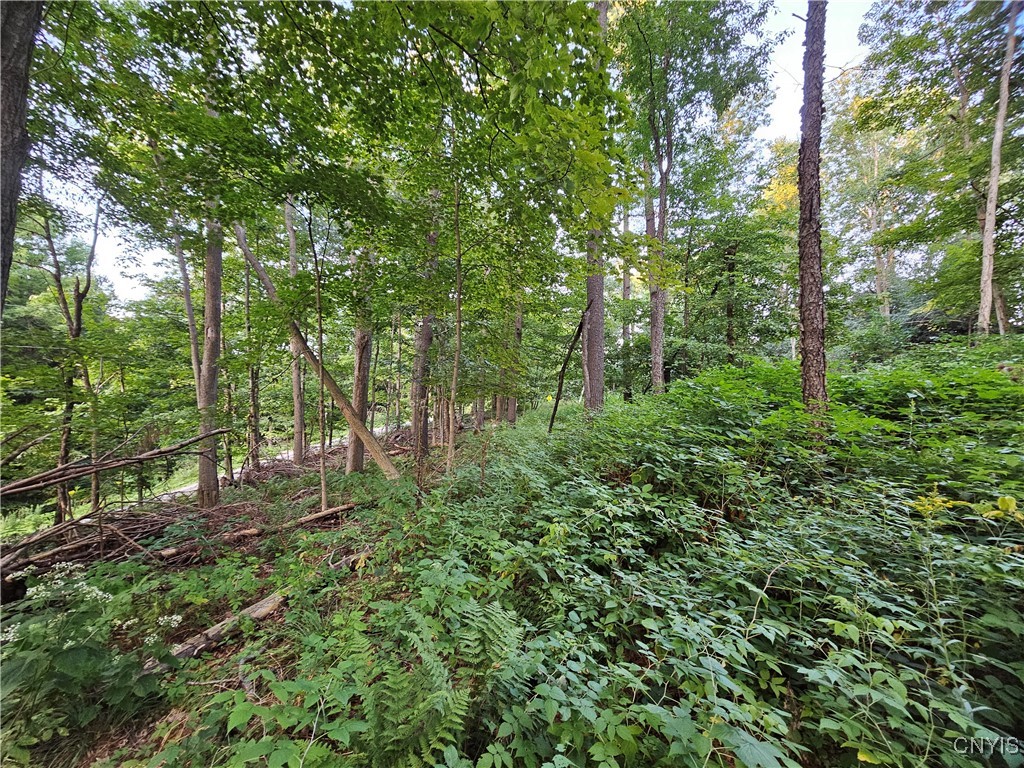 Old State Road Carthage, NY 13619 - Photo 8 of 16