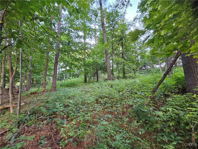 $39,900 | Old State Road, Carthage, NY 13619