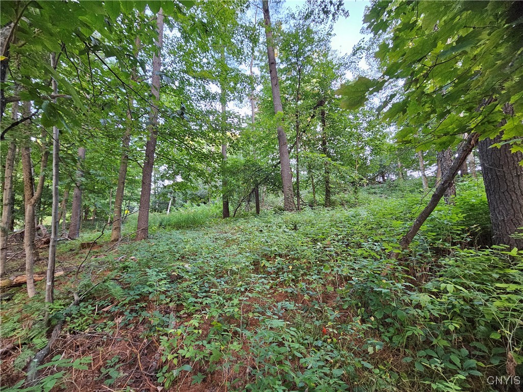 Old State Road Carthage, NY 13619 - Photo 9 of 16