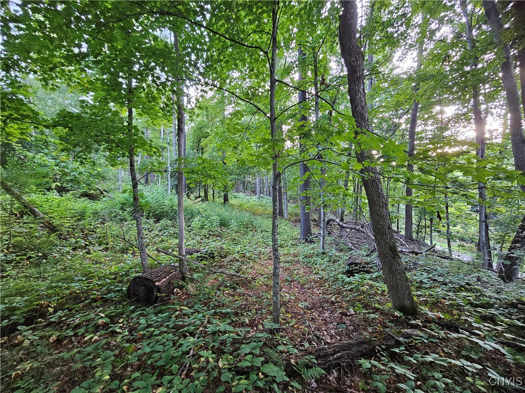 Old State Road Carthage, NY 13619 - Photo 10 of 16