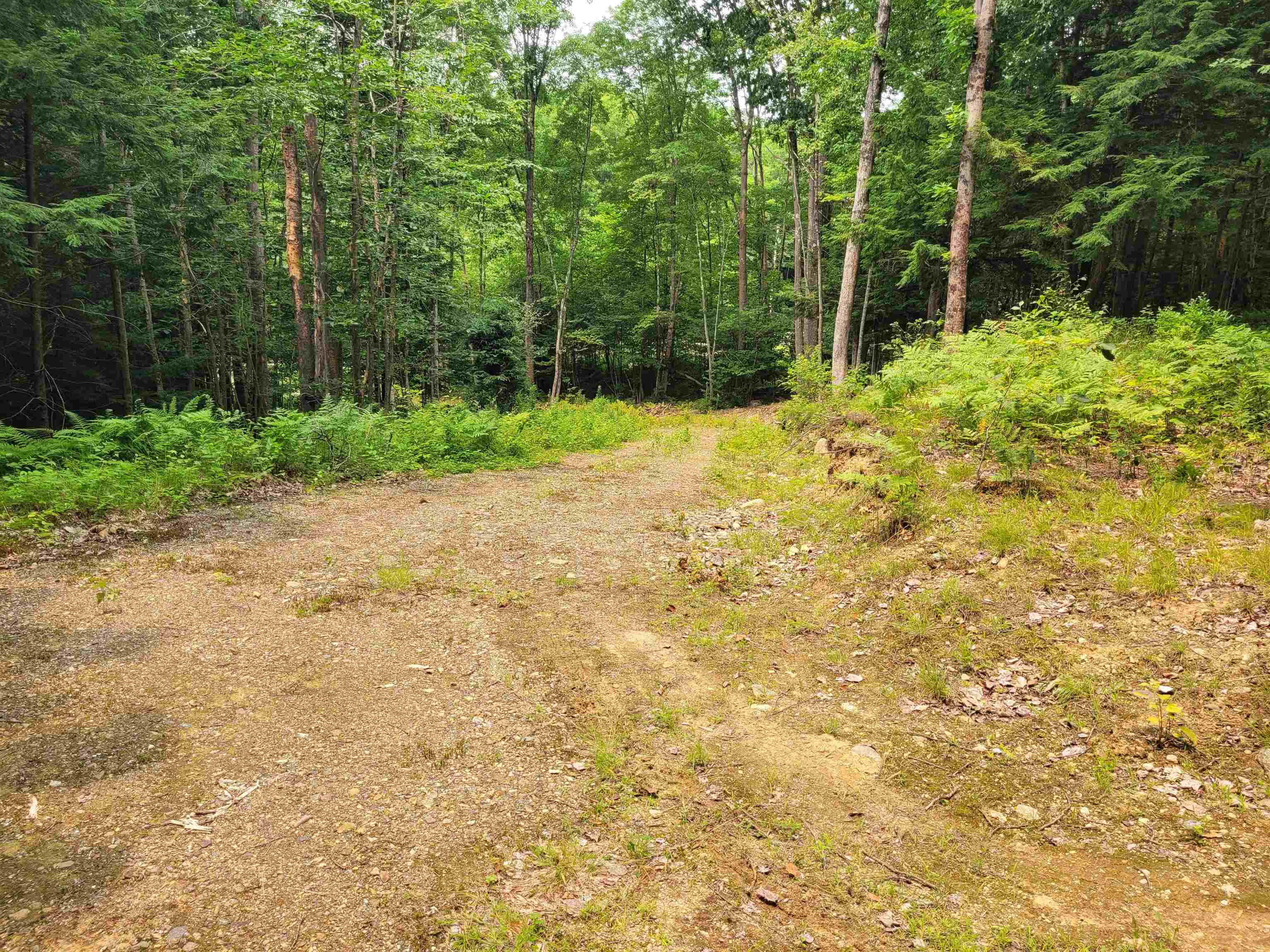 54 Fullam Pond Road Winchester, NH 03470 - Photo 3 of 6