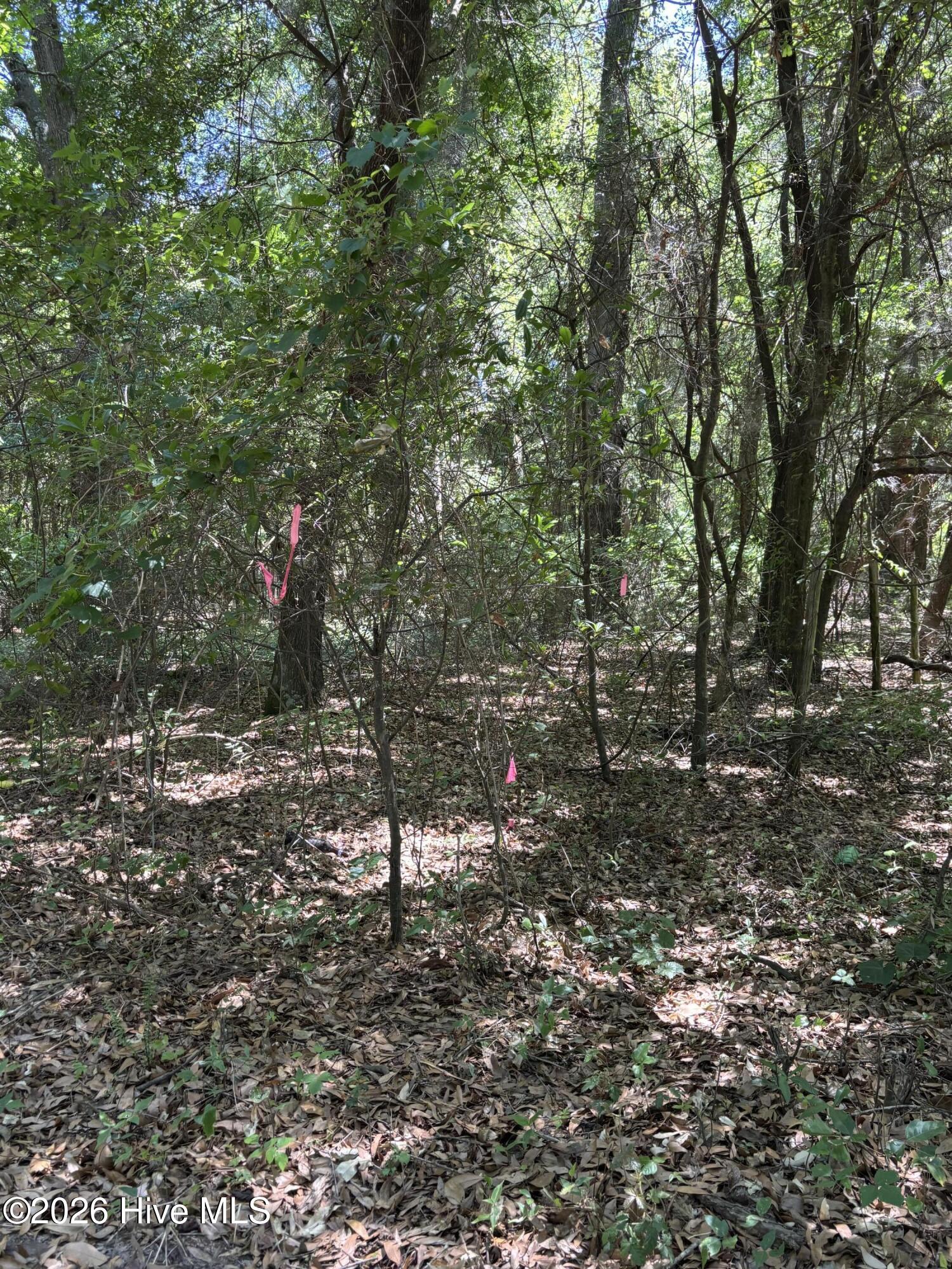 0 Warbonnet Road Springfield, SC 29146 - Photo 11 of 16 Markers at Back corner of lot on William Evans.