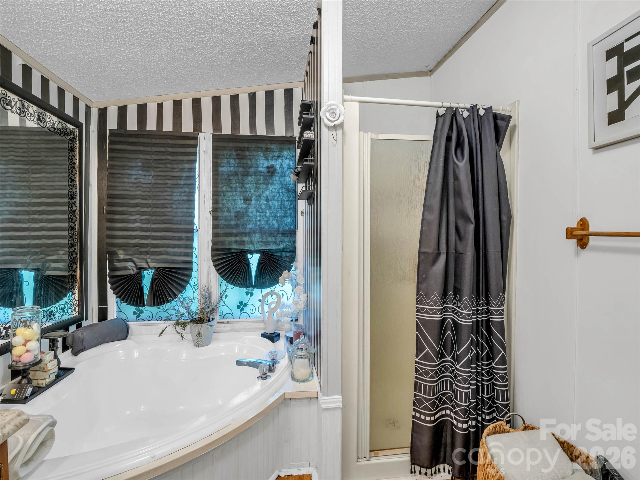 771 Bishop Lane, Unit 6 Mill Spring, NC 28756 - Photo 25 of 41