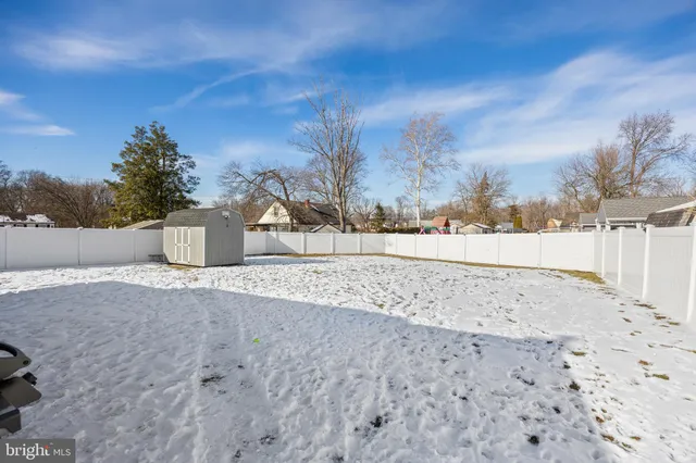 a view of a dry yard with trees