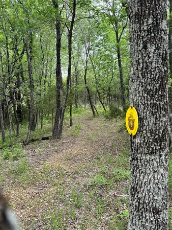 a view of outdoor space with trees all around