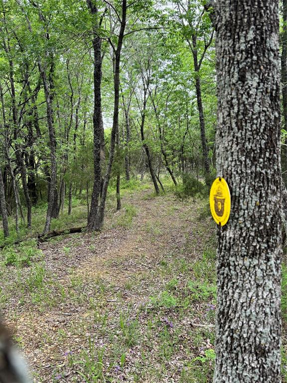 2601 Randell Lake Road Denison, TX 75020 - Photo 24 of 40 a view of a park with a tree
