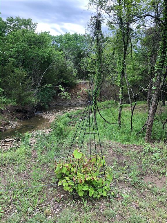 2601 Randell Lake Road Denison, TX 75020 - Photo 25 of 40 a view of yard