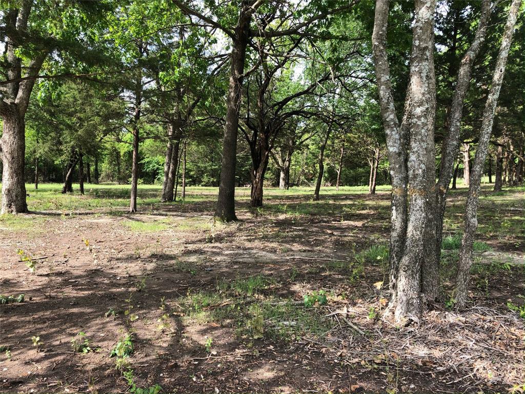 2601 Randell Lake Road Denison, TX 75020 - Photo 28 of 40 a view of outdoor space with trees all around