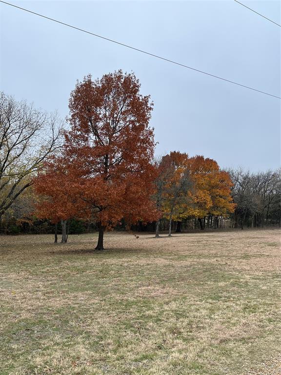 2601 Randell Lake Road Denison, TX 75020 - Photo 29 of 40 a view of lawn chairs with large trees