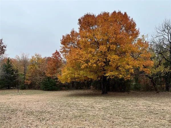 a view of a field with trees and houses