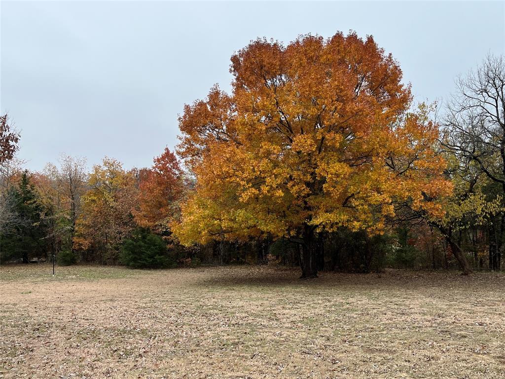 2601 Randell Lake Road Denison, TX 75020 - Photo 30 of 40