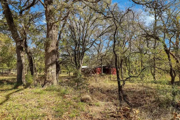 a view of a field with trees in the background