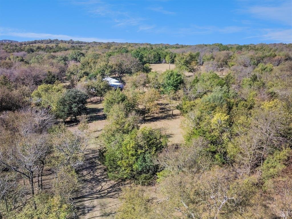 2601 Randell Lake Road Denison, TX 75020 - Photo 37 of 40 a view of a forest with trees in the background
