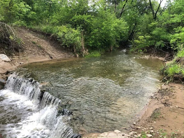a view of a trees with a yard