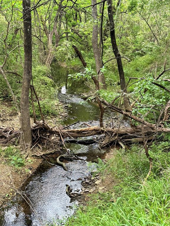 2601 Randell Lake Road Denison, TX 75020 - Photo 9 of 40 a view of a backyard of a house