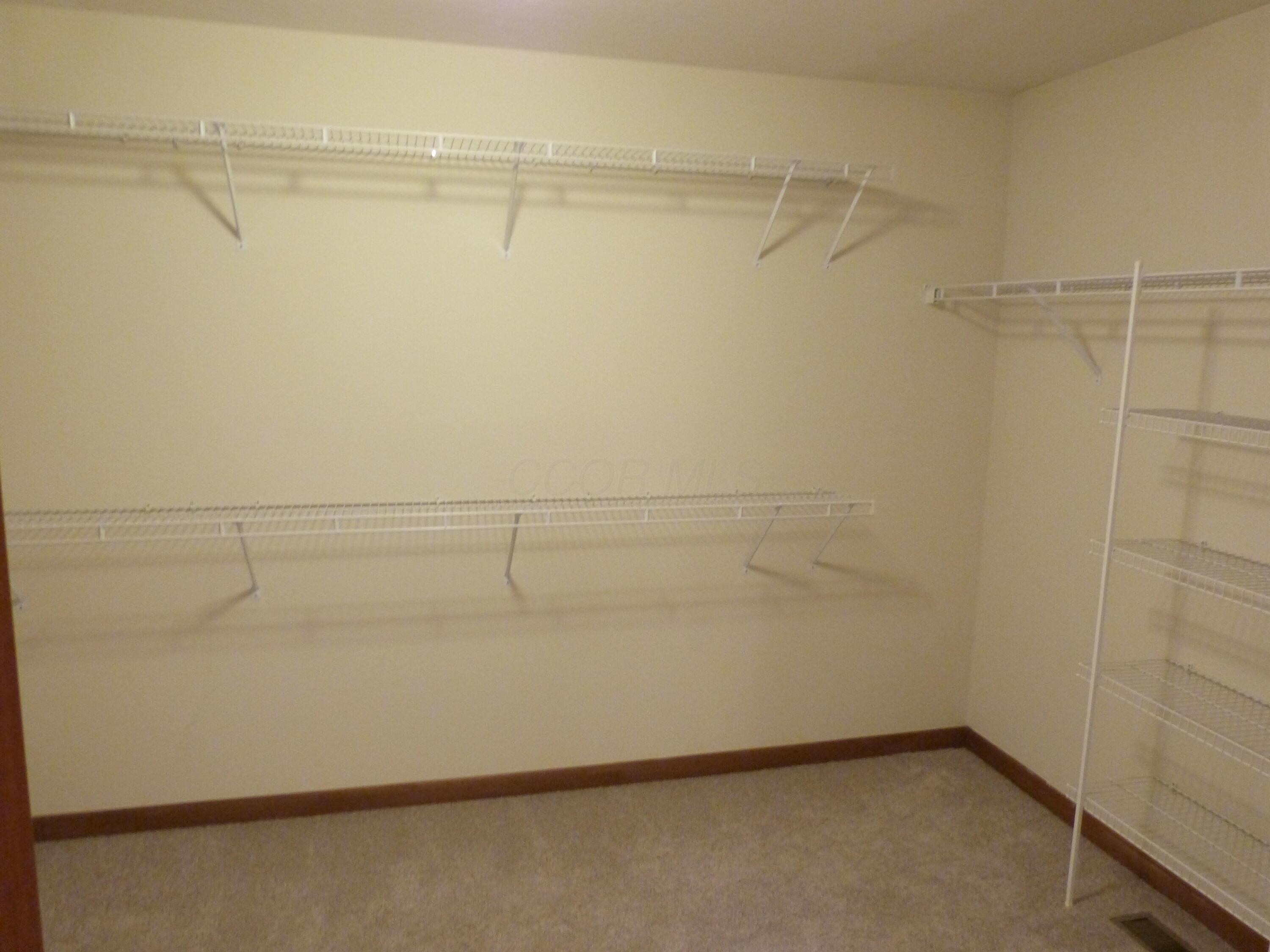 2360 Rufus Court Lewis Center, OH 43035 - Photo 31 of 45 Primary Walk-In Closet