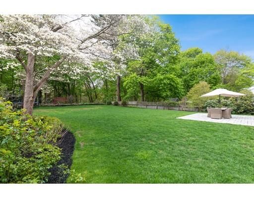 a view of a park with large trees