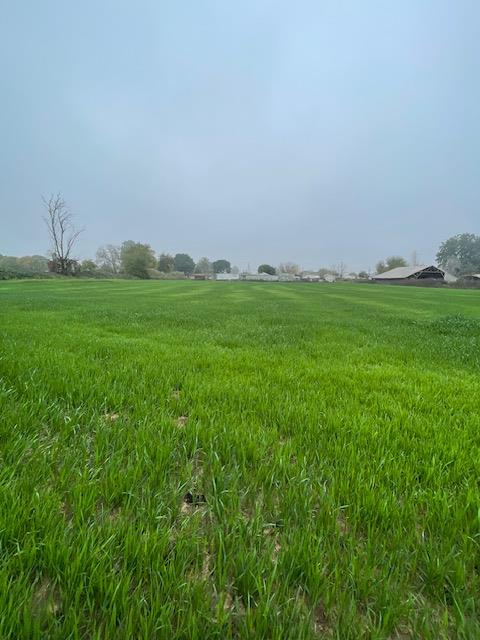 209 East Clausen Road Turlock, CA 95380 - Photo 3 of 4 a view of a green field with lots of green space