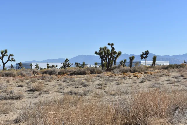 swimming pool view with a outdoor seating space