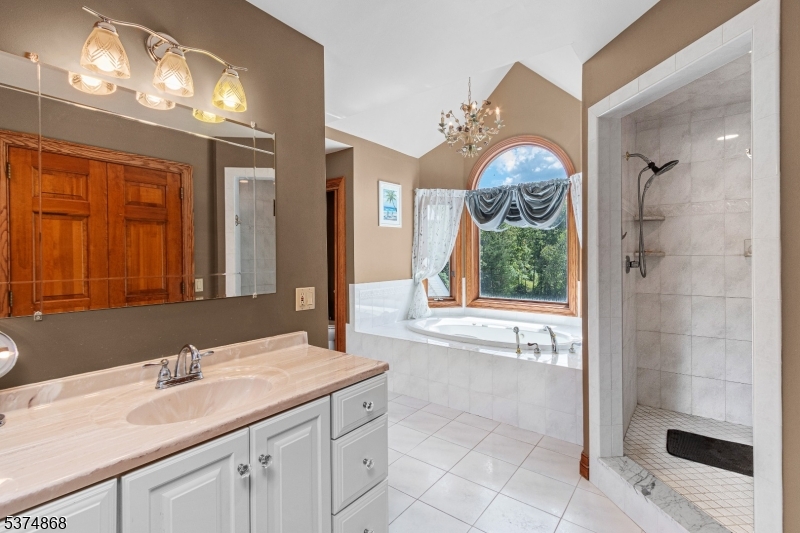 334 West Valley Brook Road Califon, NJ 07830 - Photo 22 of 44 a bathroom with a sink a vanity a mirror and a shower