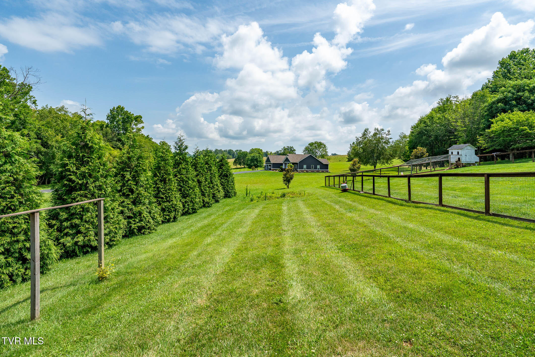 264 Hales Road Jonesborough, TN 37659 - Photo 6 of 86 264 Hales Rd (16 of 86)